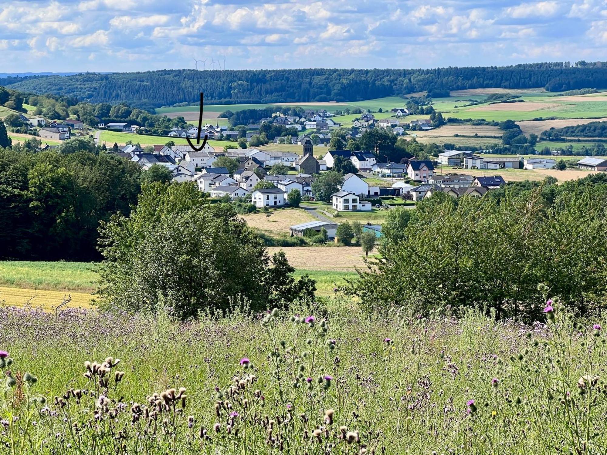 B&B Ringlodge Kelberg Exterior foto